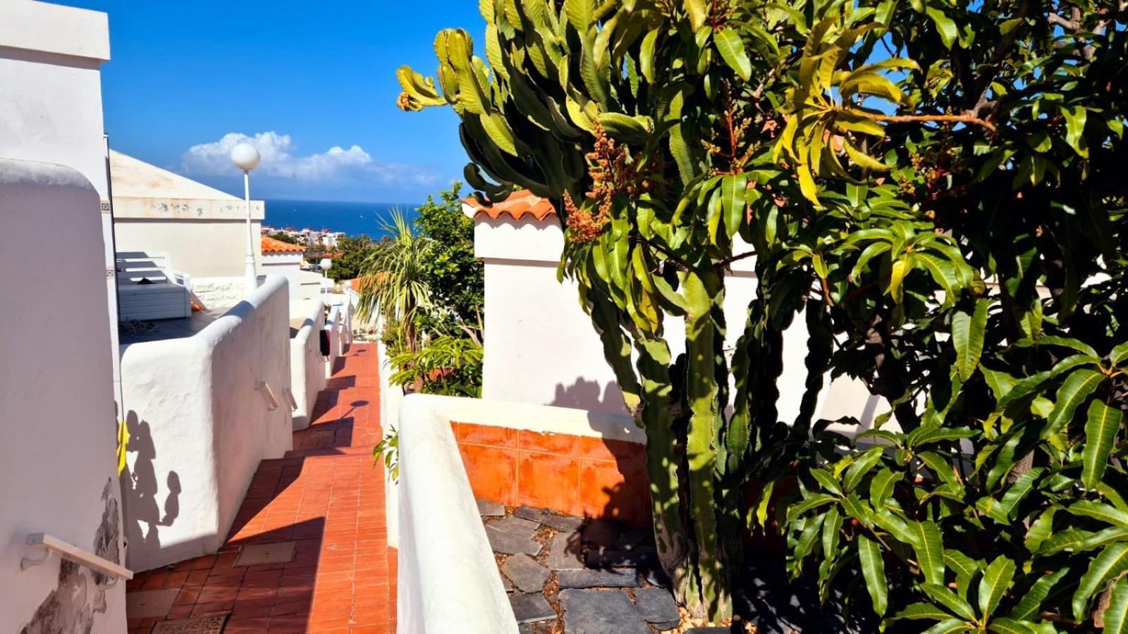 Costa Adeje Bungalow -Tenerife Esterno foto